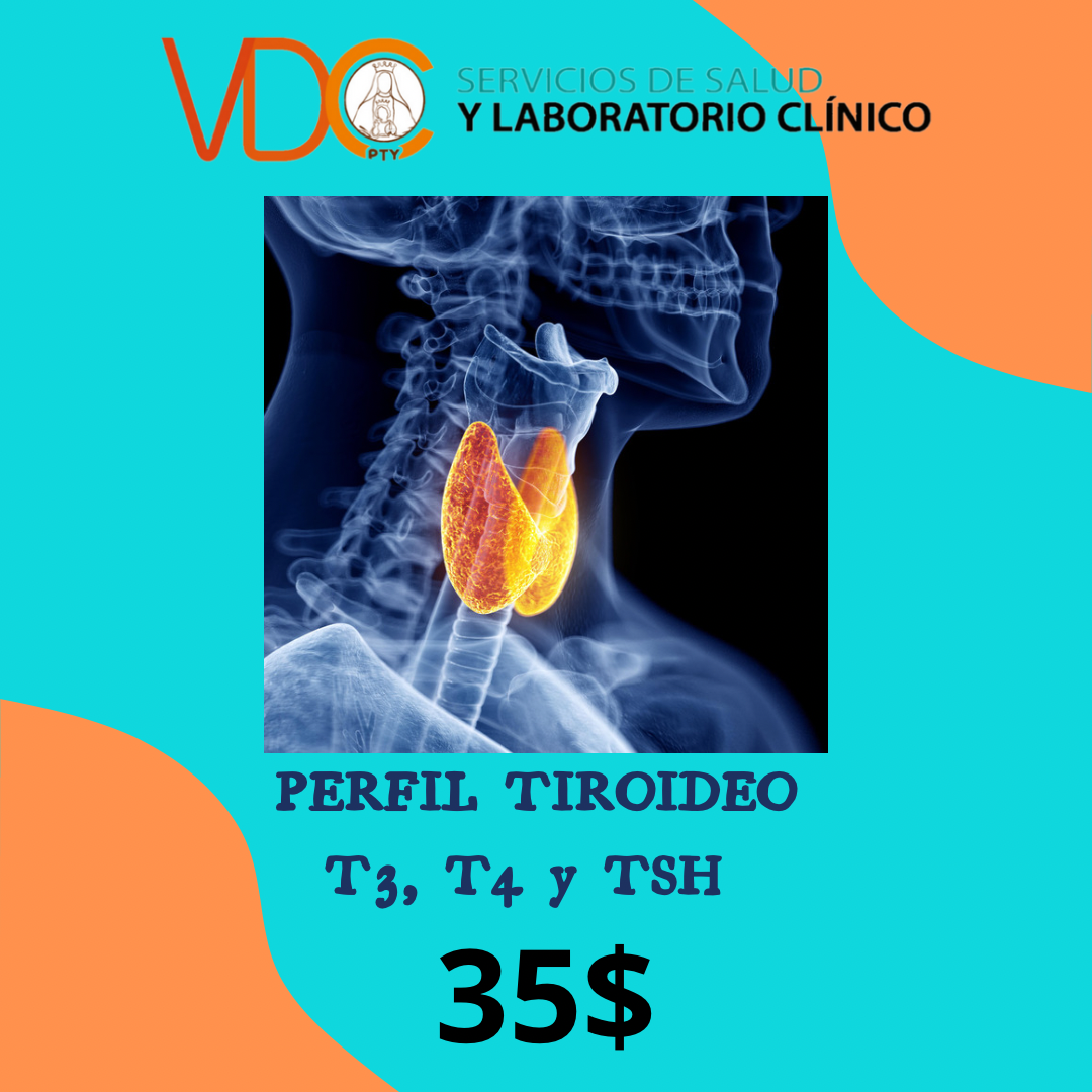 perfiltiroideo